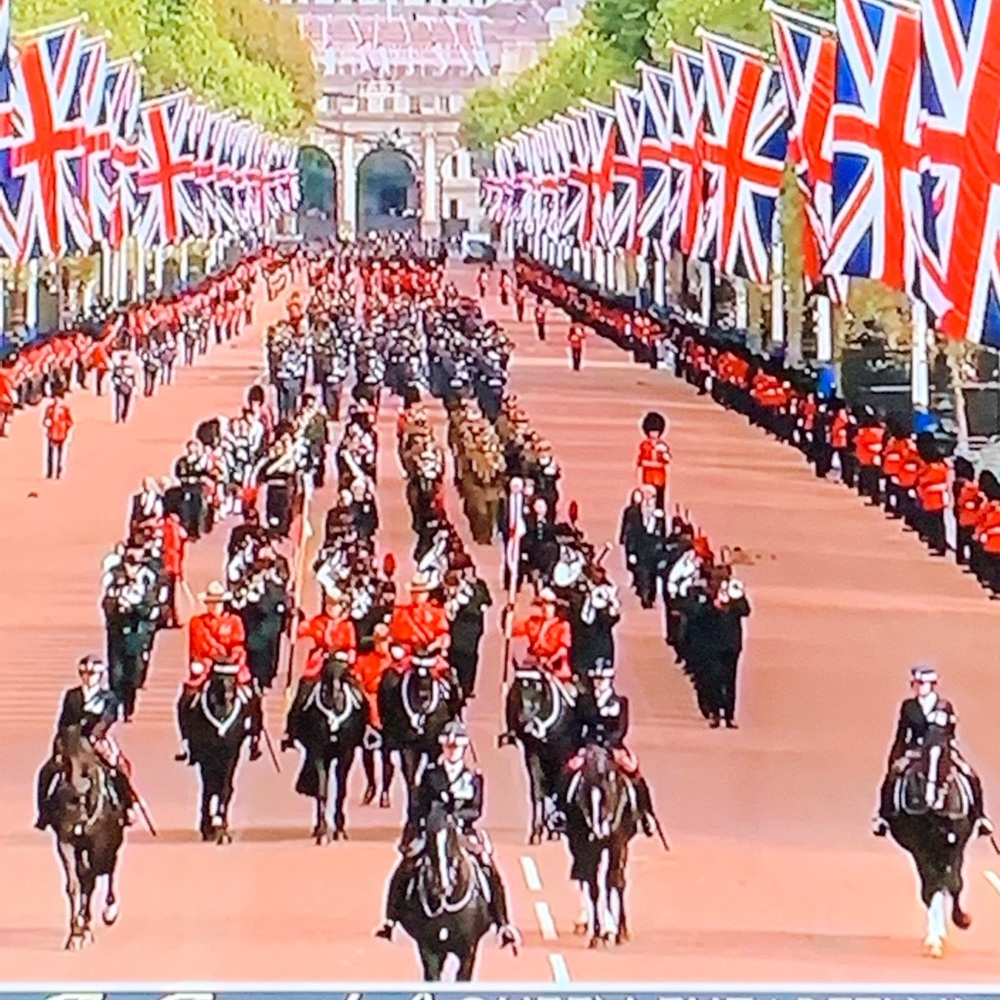 Meet your Posher, Christine - Picture 8 of 11